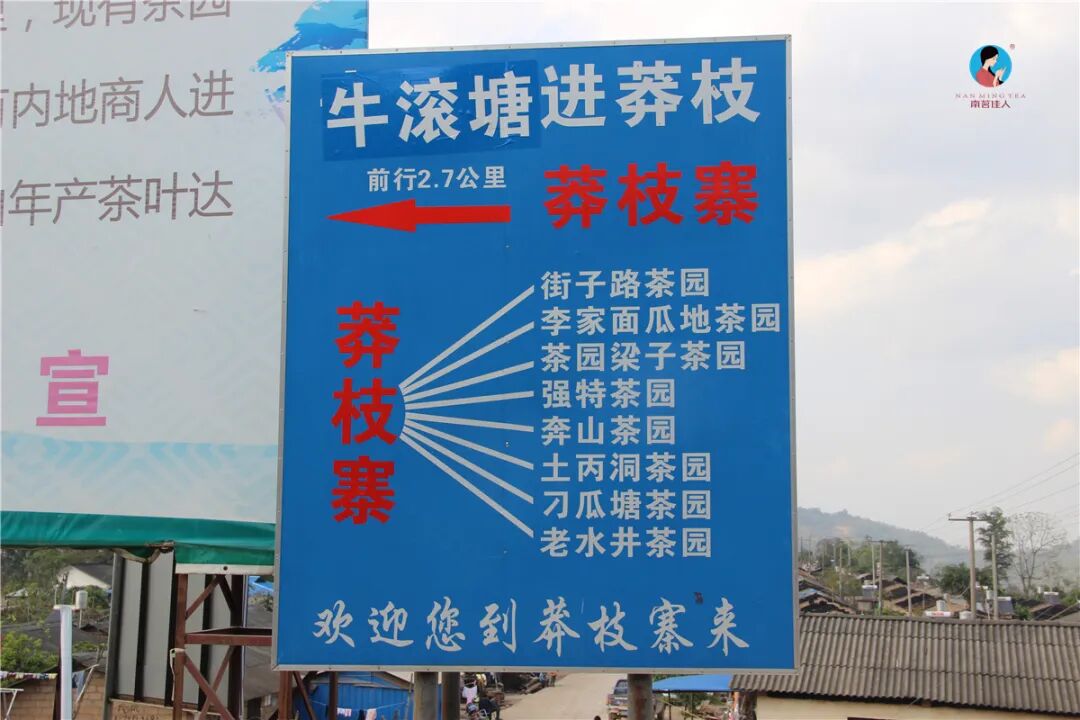 蛮砖陈茶