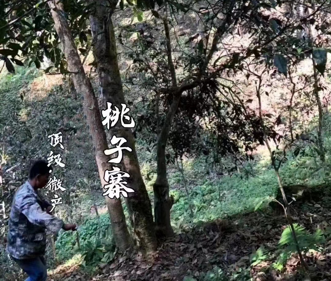 wechat-img-04.jpg